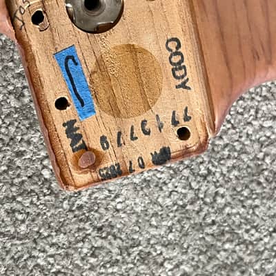 Fender American Professional II Stratocaster guitar body basecoat image 2