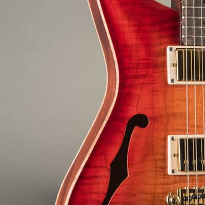 Baldacci Bighorn Hollowbody 2020, Sunburst image 5