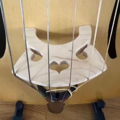 A.Loziakov Arpeggione Classica 2026 - Shellac image 11