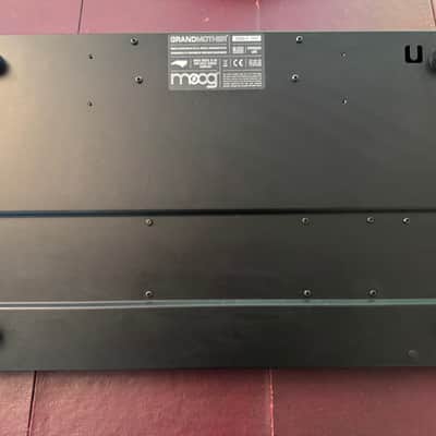 Moog Grandmother 32-Key Semi-Modular Analog Synthesizer 2018 - Present - Black / Multi-Colored Panel image 4