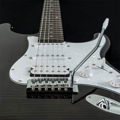 Washburn Sonamaster SDFTB Deluxe Transparent Black image 4