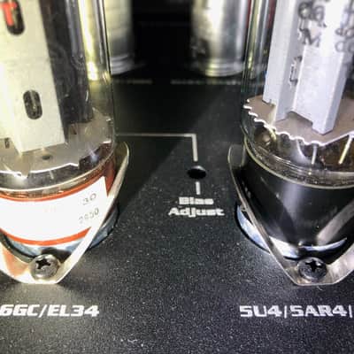 Budda Alex Skolnick AS Preceptor Signature Amp Head Mint ! image 9