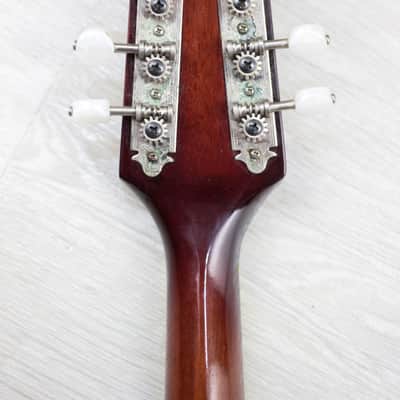 The Kasuga M-30 Custom 1970s Sunburst Mandolin image 5
