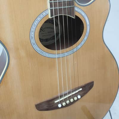 Rochester Brand Acoustic - Natural Finish, RARE image 3
