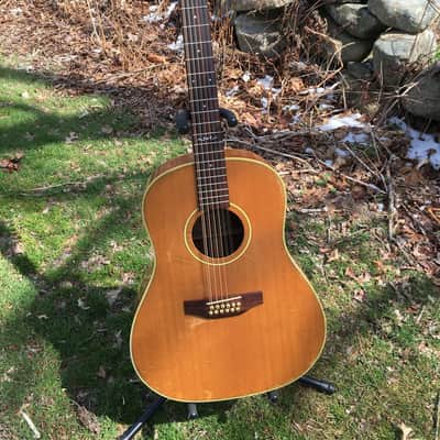 Very Nice 1981 Alvarez 5037 12-string Natural with OHSC image 1