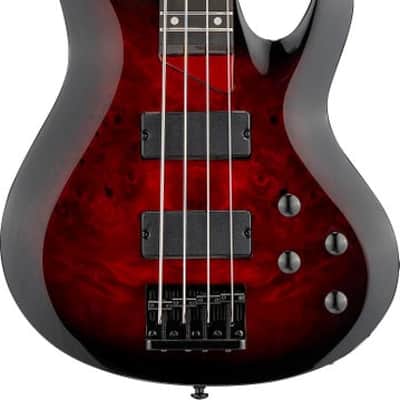 ESP LTD B-204DX Electric Bass Guitar - Red Burst Rosewood Fingerboard image 2