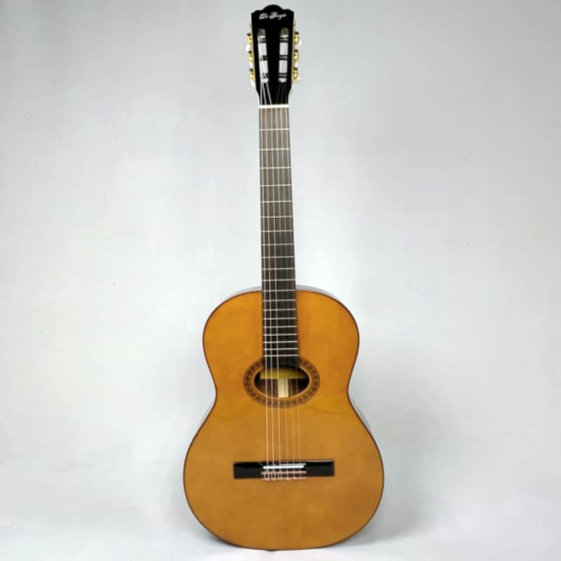Di Giorgio Tarrega ボサノバギター　1993年製 Di Giorgio Tarrega Beautiful Bossa Nova Classical Guitar with bag