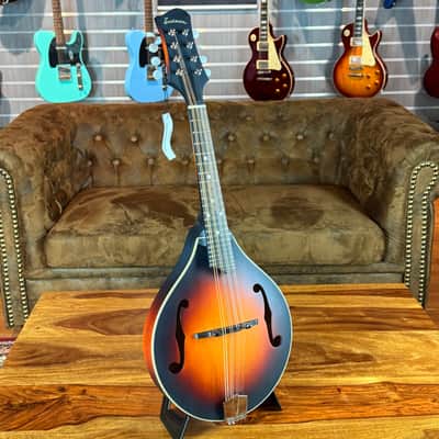 Eastman MD305E-SB - Sunburst - NEW mandoline incl. Gigbag with K&K Pickup - 0,955 kg image 2