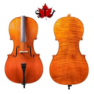 Professional song maestro Stradivari Model Cello 4/4 Made in Europe + Case image 1