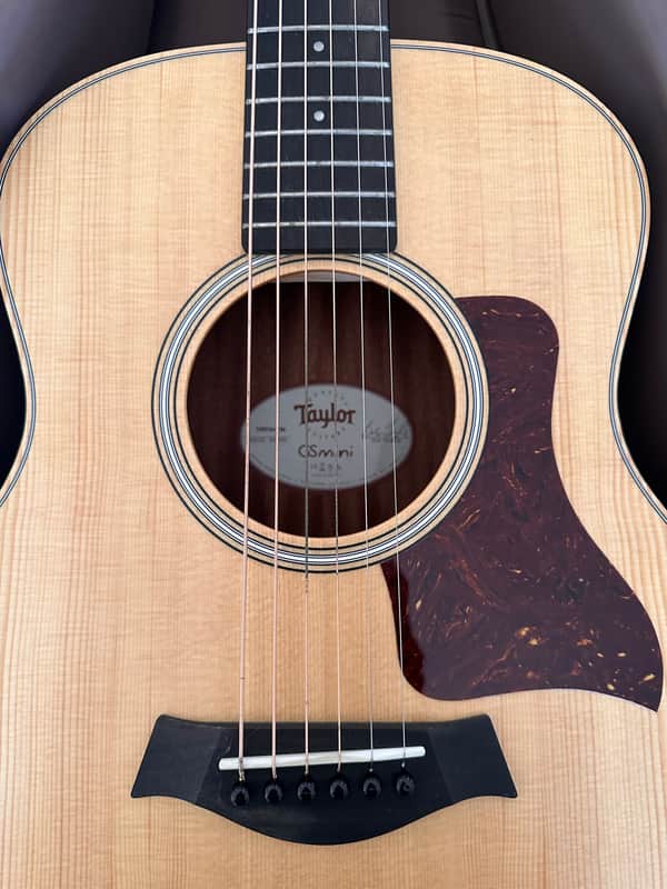 Taylor GS Mini Mahogany