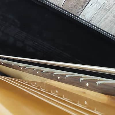 Peavey Foundation 2000 5 String -RARE- w/ new Hard Case image 5