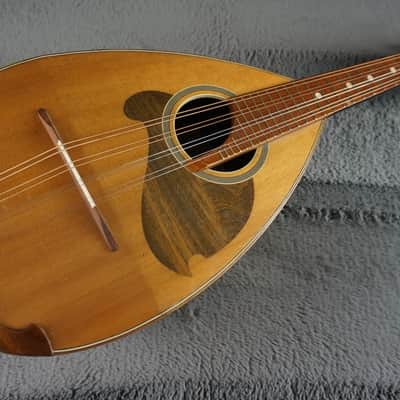 Suzuki No. 4 Mandolin 1959 Japan image 3