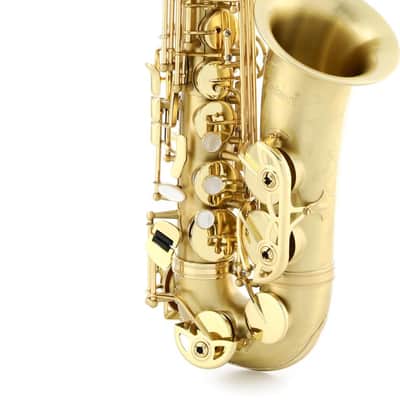 Selmer SAS711 Professional Alto Saxophone - Matte image 1
