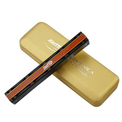 22 Holes Professional Tremolo Harmonica Key of D image 3