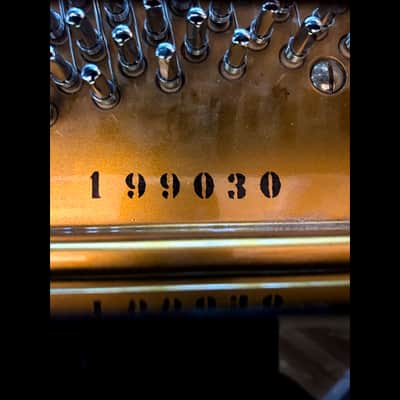 Premium Bechstein A180 Grand Piano image 11