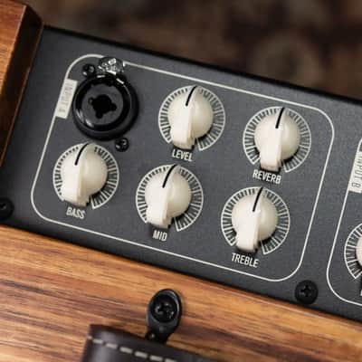 Taylor Circa 74 AV150-10 Amp With Stand - Select Koa image 12