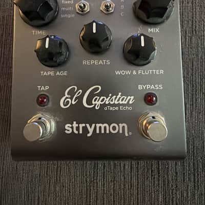 Strymon El Capistan V1 2010 - 2022 - Grey image 1