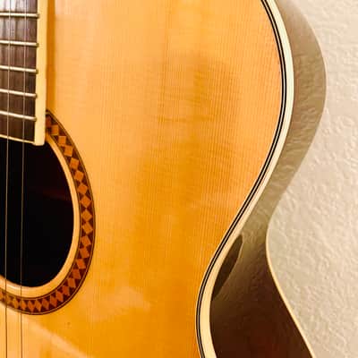 Washburn  F-10S Acoustic Folk Guitar Solid Spruce Top Mahogany Back Sides 2020 Natural/Cherry image 7