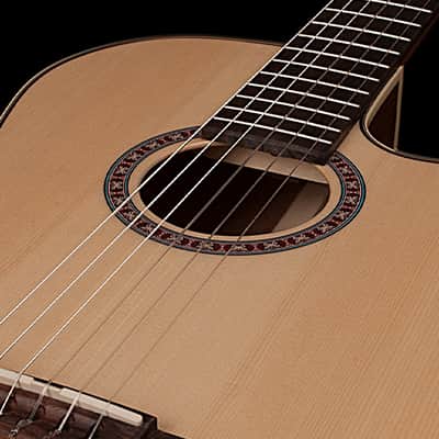 Godin Arena Mahogany CW QIT image 4