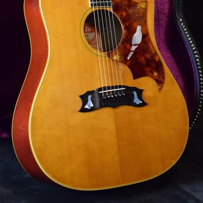 Gibson Dove Custom 1973 - natural image 2