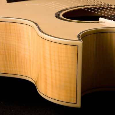Washburn EA20 Festival Acoustic Electric Guitar Natural image 4