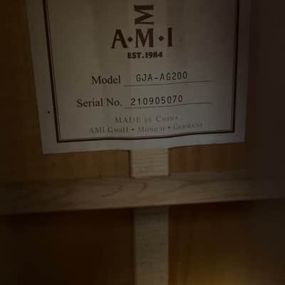 AMI GJA-AG200 Jumbo Acoustic-Electric Guitar with Gator Hardshell Case image 2