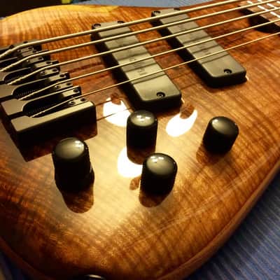 Roscoe LG3005 Custom - Walnut Burl (2014) image 9