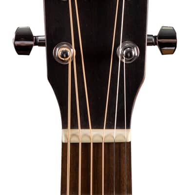 Breedlove Discovery S Concertina CE Edgeburst image 6