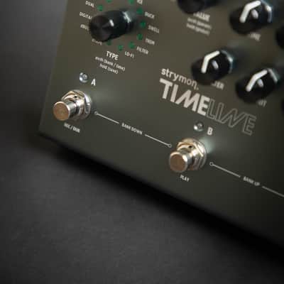 Strymon TimeLine Delay image 3