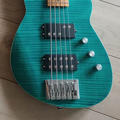 Reverend Mercalli 5 2020 - Teal image 7