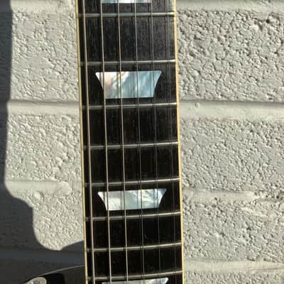 Gibson Adam Jones Signature Les Paul Standard 2022 - Present - Antique Silverburst image 11