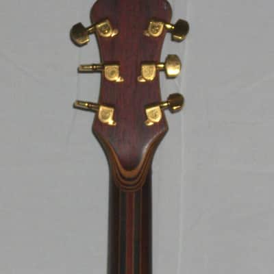 The Joker.THE Guitar! image 11