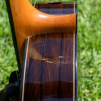 2016 Kris Barnett, Cedar Ziricote, Hybrid Fan Lattice Braced, Elevated Fingerboard , Soundport image 9