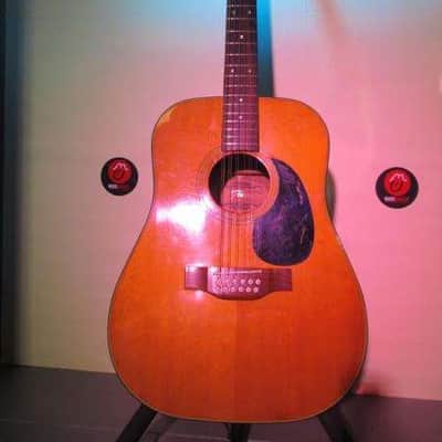 Chitarra Fenix 12 M Made Korea. image 2