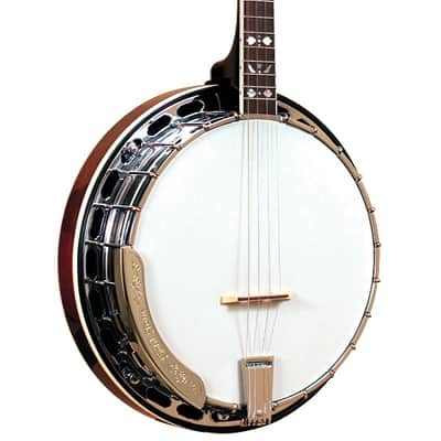 Gold Tone TS-250 Tenor Special 4-String Banjo w/Hardshell Case image 1