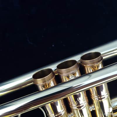 0.462 Mt Vernon Vincent Bach Stradivarius Lightweight STAR 25 trumpet case mouthpiece  gamonbrass image 25