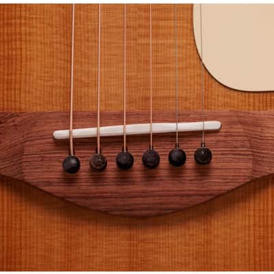 Taylor Gold Label 717e SB Sitka Spruce Top, Indian Rosewood Back and Sides, LR Baggs Element VTC Electronics with Case image 5