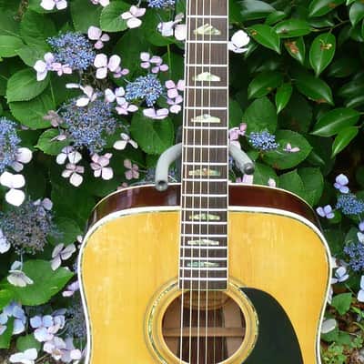 Hillbilly by Suzuki W-40 Brazilian Rosewood 1970's Natural BARGAIN image 5