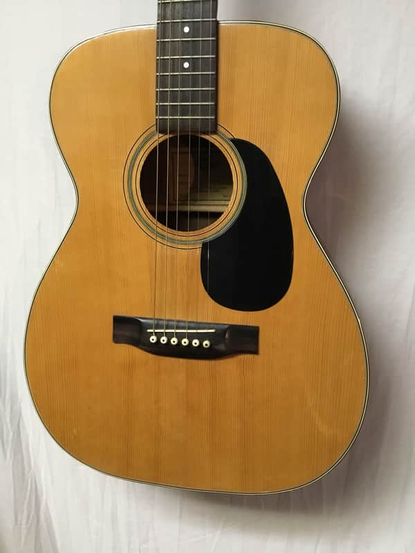 Epiphone A-10 Epi Norlin acoustic guitar | Reverb