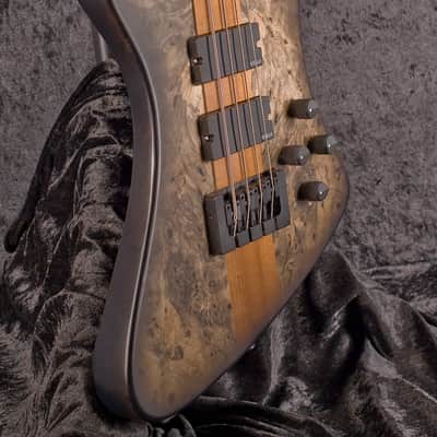 Spector US Custom Shop 4X Black Burst image 7