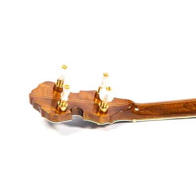 ODE Banjo Owned by Brian Setzer image 16