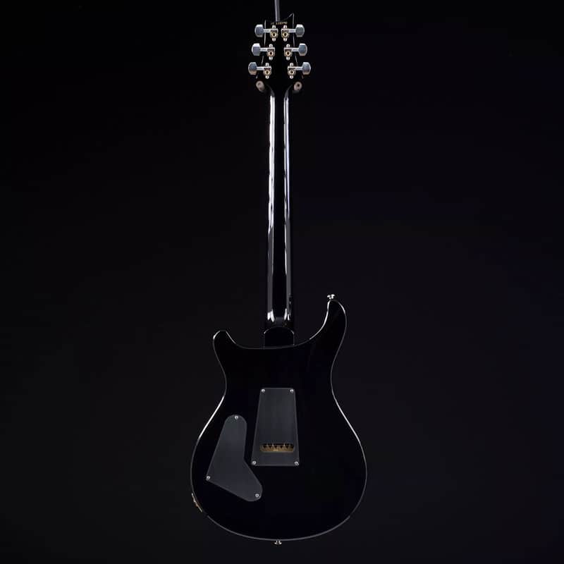 PRS Custom 24 Floyd image 7