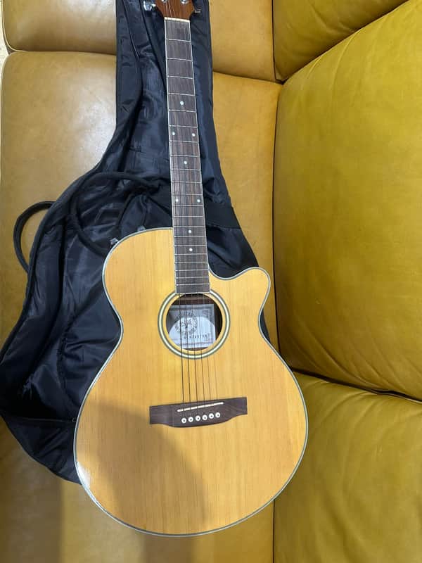 Skylark acoustic Guitar Natural | Reverb