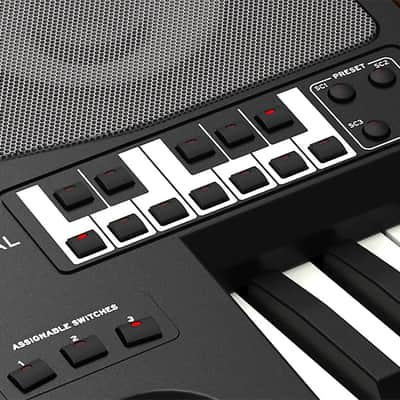 Korg Pa700 Oriental Pro Arranger, Great Keyboard for the Price !! Buy or Make Offer image 4