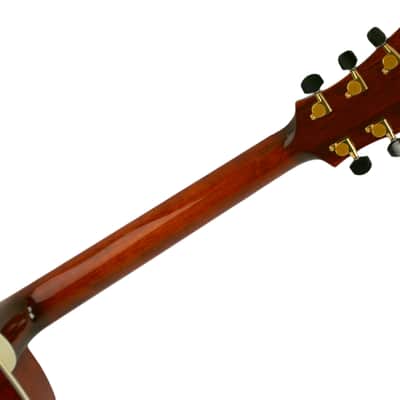 Eastman AR810CE image 6