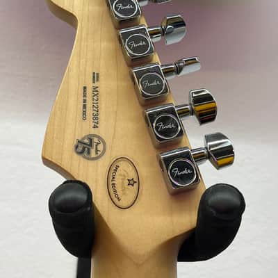 Fender Stratocaster image 9