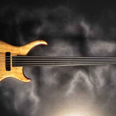 Alembic Custom CLB5 Fretless 5 String With LEDs image 1