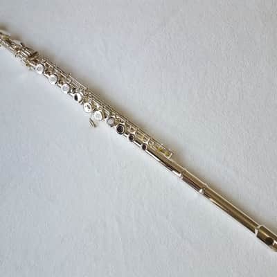 Immagine Professional 17 Open Hole Silver Plated Flute E Key B Foot with Case and Velvet Canvas Bag - 5