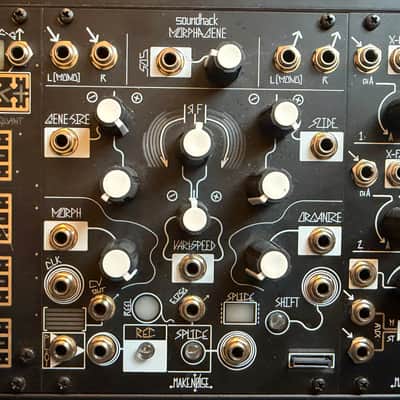 Make Noise Black & Gold Shared System Plus 2008 - Present - Black & Gold image 16