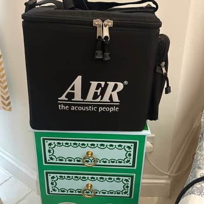 AER Alpha 2-Channel 40-Watt 1x8" Acoustic Guitar Combo 2020s - Black image 2